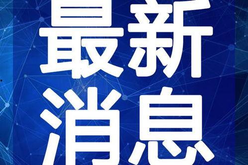 最新气垫钉鞋爆料视频,性能升级，视觉盛宴！